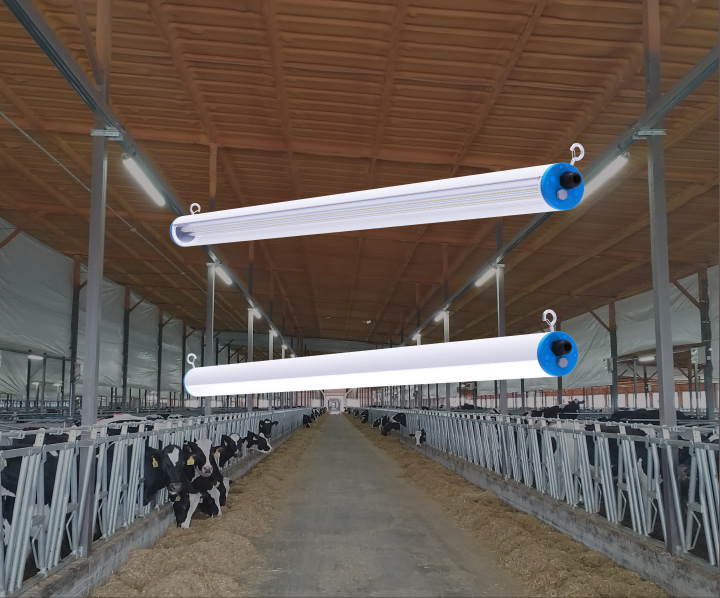 Livestock Lighting